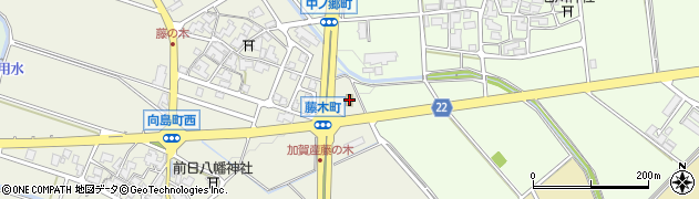 ファミリーマート白山藤木店周辺の地図