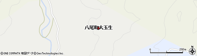 富山県富山市八尾町大玉生周辺の地図
