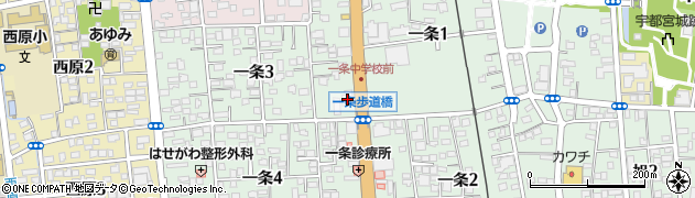 ロータス栃木株式会社周辺の地図