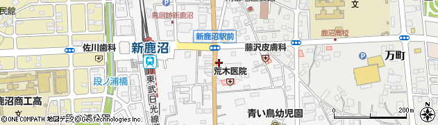 栃木県鹿沼市鳥居跡町991周辺の地図
