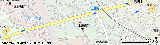 栃木県鹿沼市上野町351周辺の地図