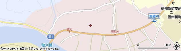中沢蒟蒻店周辺の地図