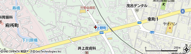 栃木県鹿沼市上野町338周辺の地図
