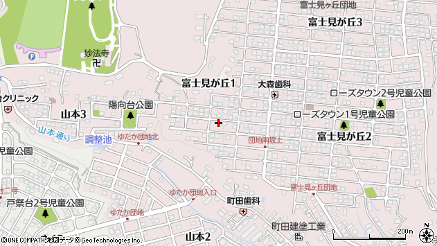 〒320-0011 栃木県宇都宮市富士見が丘の地図