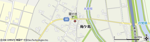 富山県南砺市梅ケ島71周辺の地図