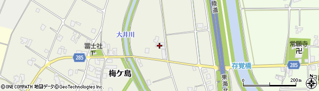 富山県南砺市梅ケ島238周辺の地図