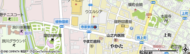 富山県南砺市やかた393周辺の地図