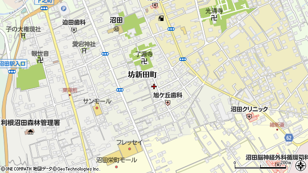 〒378-0017 群馬県沼田市坊新田町の地図