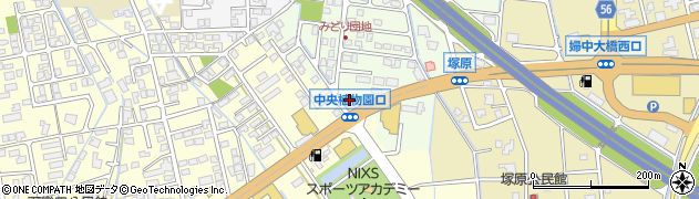 富山県富山市婦中町分田156周辺の地図