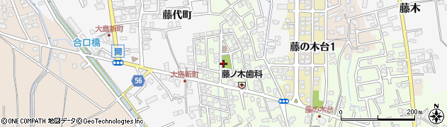 大島新町公園周辺の地図