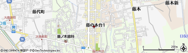 富山県富山市藤の木台1丁目周辺の地図