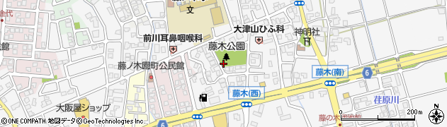藤木公園周辺の地図