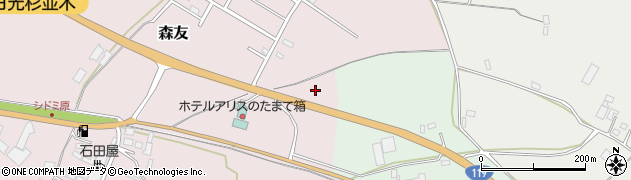 栃木県日光市森友1466周辺の地図