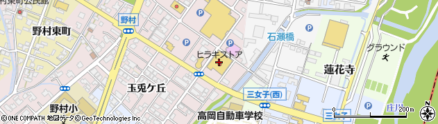 ヤングドライグループヤングドライヒラキ野村店周辺の地図