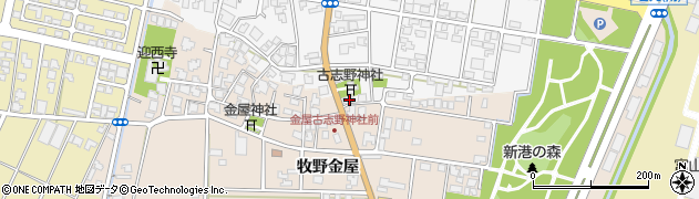 富山県高岡市姫野26周辺の地図