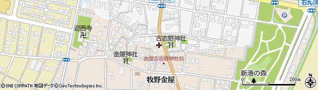 富山県高岡市姫野143周辺の地図