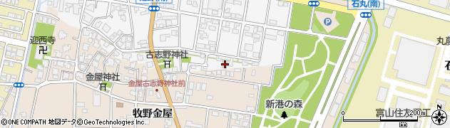 富山県高岡市姫野17周辺の地図