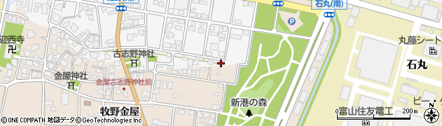 富山県高岡市姫野13周辺の地図