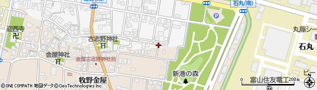 富山県高岡市姫野15周辺の地図