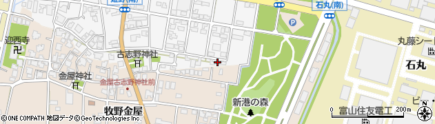 富山県高岡市姫野14周辺の地図