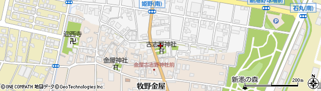 富山県高岡市姫野135周辺の地図