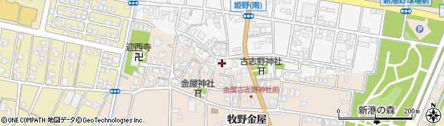富山県高岡市姫野145周辺の地図