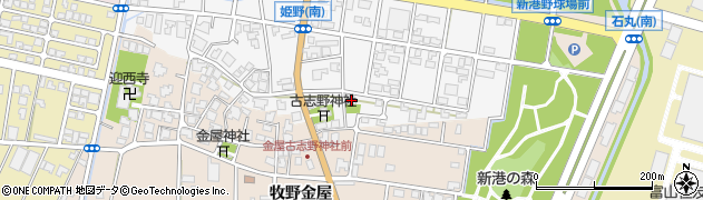 富山県高岡市姫野23周辺の地図