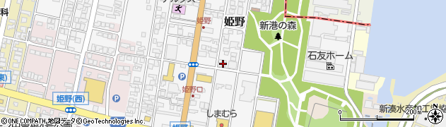 富山県高岡市姫野317周辺の地図