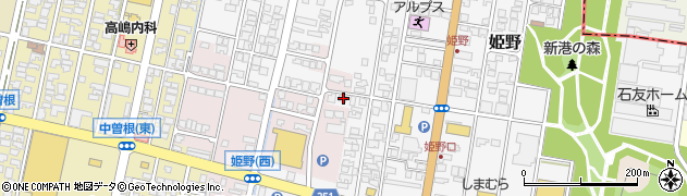 富山県高岡市姫野128周辺の地図