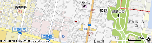 富山県高岡市姫野495周辺の地図