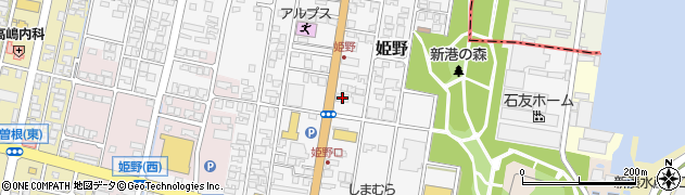富山県高岡市姫野294周辺の地図