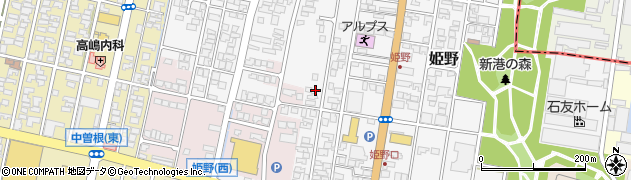 富山県高岡市姫野493周辺の地図