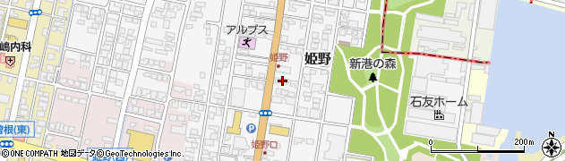 富山県高岡市姫野295周辺の地図