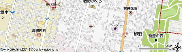 富山県高岡市姫野61周辺の地図