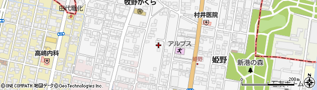 富山県高岡市姫野481周辺の地図