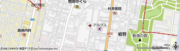 富山県高岡市姫野480周辺の地図