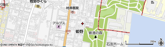 富山県高岡市姫野307周辺の地図
