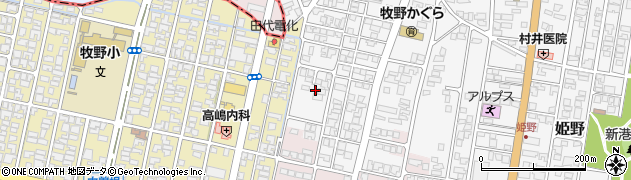 富山県高岡市姫野919周辺の地図