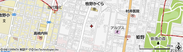 富山県高岡市姫野59周辺の地図