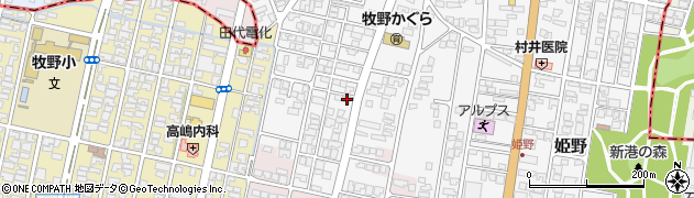 富山県高岡市姫野42周辺の地図