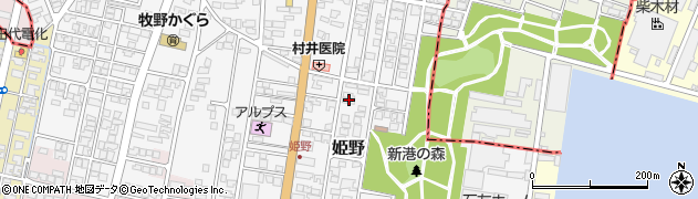 富山県高岡市姫野306周辺の地図