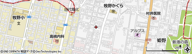 富山県高岡市姫野43周辺の地図