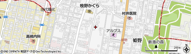 富山県高岡市姫野136周辺の地図