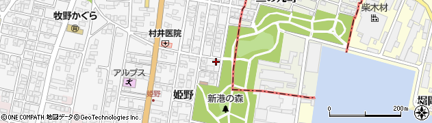 富山県高岡市姫野330周辺の地図