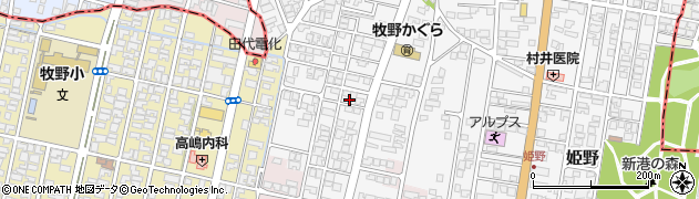 富山県高岡市姫野45周辺の地図