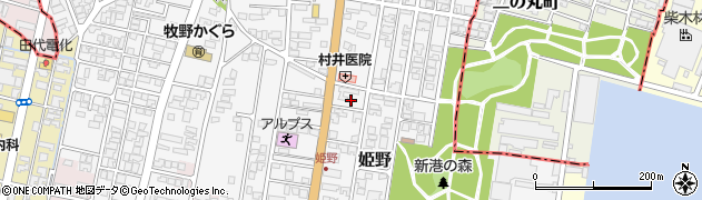 富山県高岡市姫野304周辺の地図