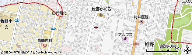 富山県高岡市姫野58周辺の地図