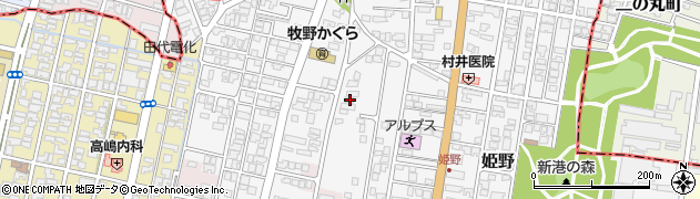 富山県高岡市姫野137周辺の地図