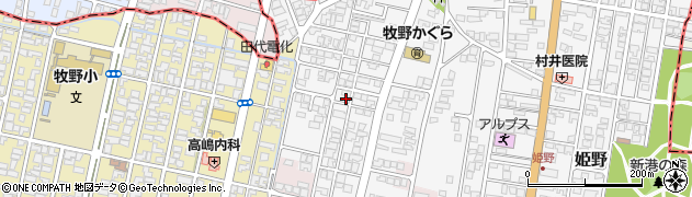 富山県高岡市姫野44周辺の地図