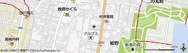富山県高岡市姫野500周辺の地図